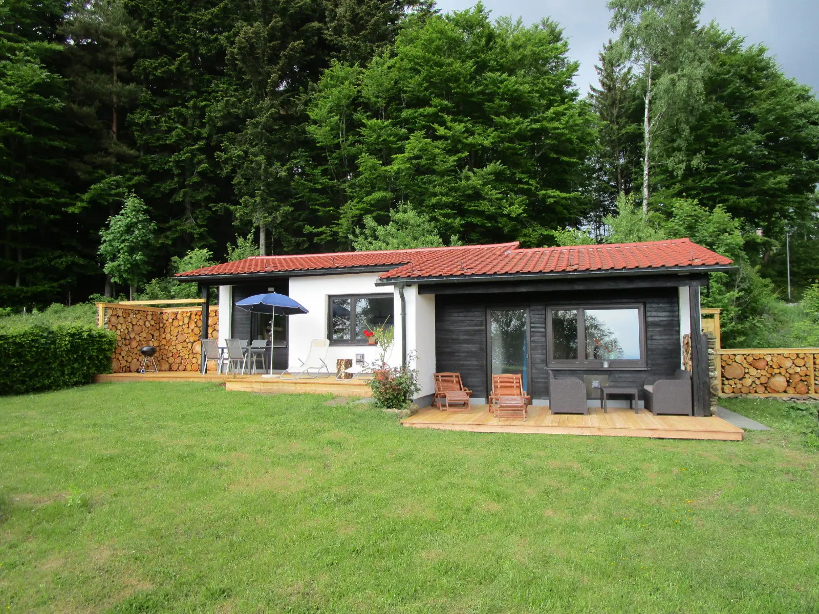 Waldidyll Sonnenwald Bayern 202602 Bayerischerwald Brotjacklriegel